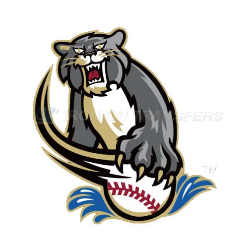 Sacramento River Cats Iron-on Stickers (Heat Transfers)NO.7698